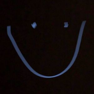 Meet your Posher, Priscilla